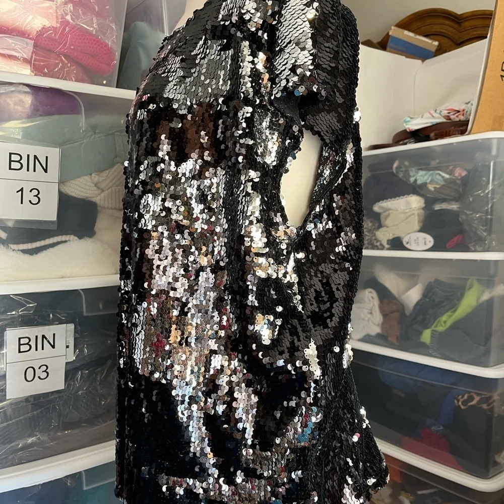 BB Dakota Shimmering Black and Silver Sequin Top